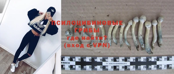 2c-b Богородицк