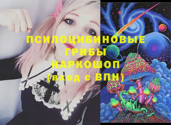 метадон Богданович