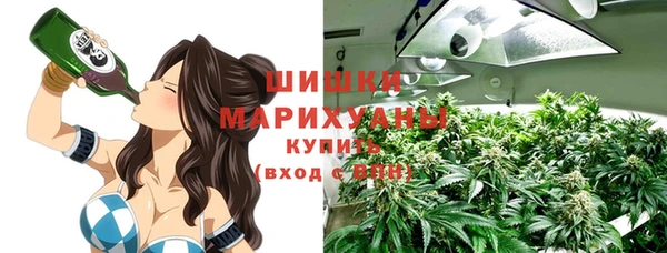 2c-b Богородицк