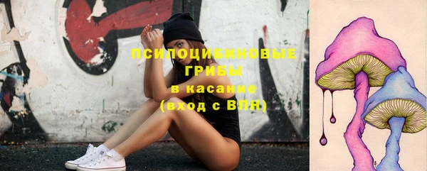 метадон Богданович