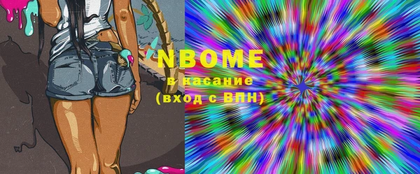 метадон Богданович